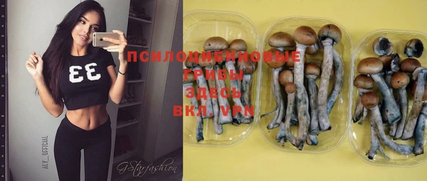дмт Арсеньев