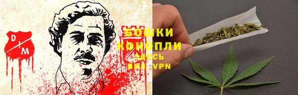дмт Арсеньев