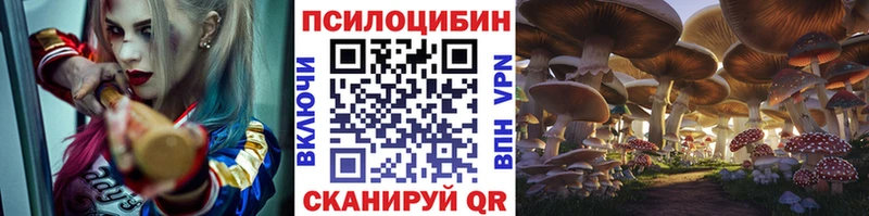 Псилоцибиновые грибы GOLDEN TEACHER  Острогожск 