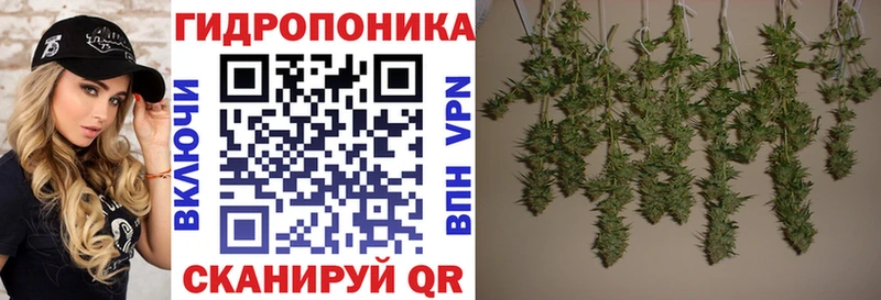 OMG Острогожск Канабис планчик